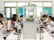 Xếp hạng đại học: Những nỗ lực tìm kiếm giải pháp mới